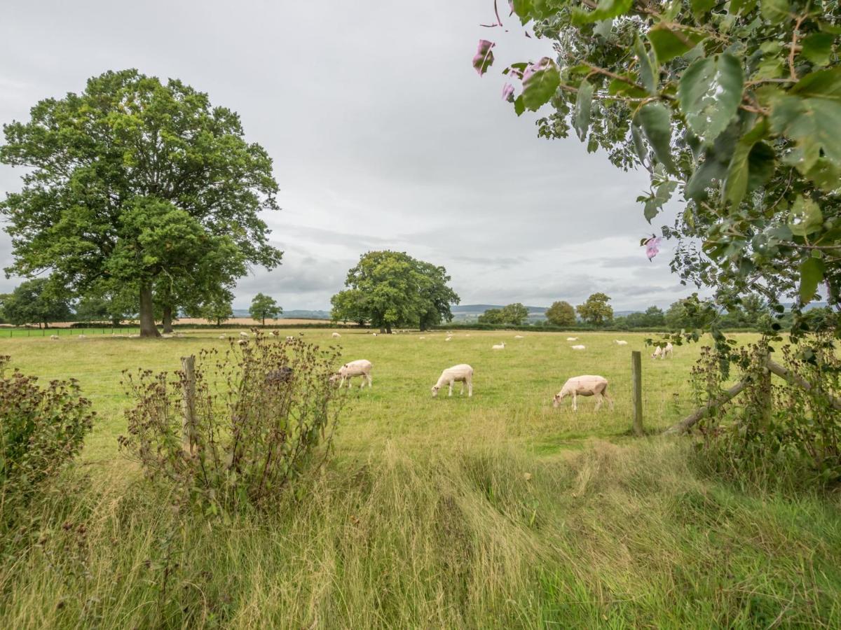 Bearwood Cottage Pembridge Esterno foto